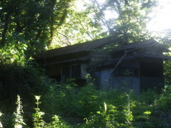 森の中の廃墟（だと思う）