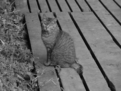 このポーズ好き