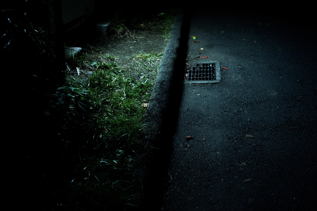 一人ぼっちの夜に
