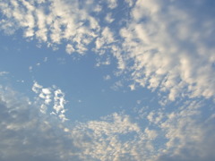 今日という日に