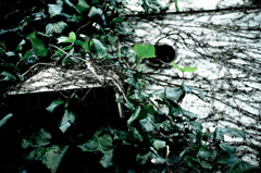 Silent Poet