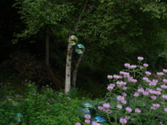 しゃぼんだまランデブー