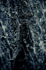 Necronomicon