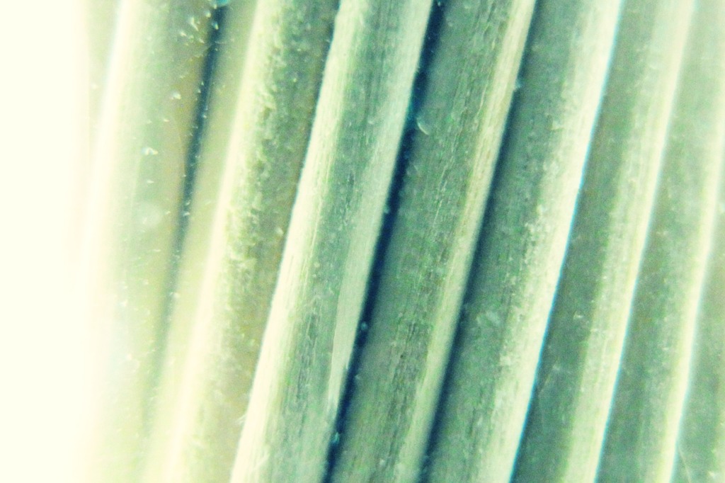 Tooth picks