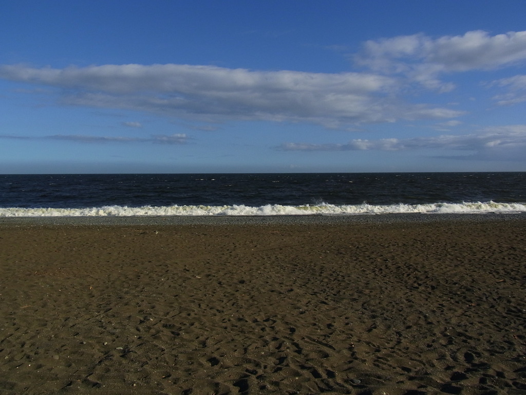 水は汚いが・・・