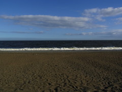 水は汚いが・・・