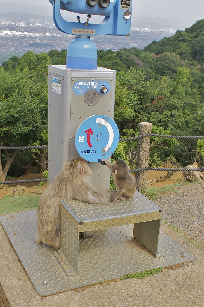 モンキートーク
