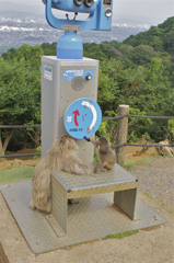 モンキートーク