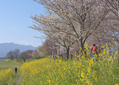 決意を新たに