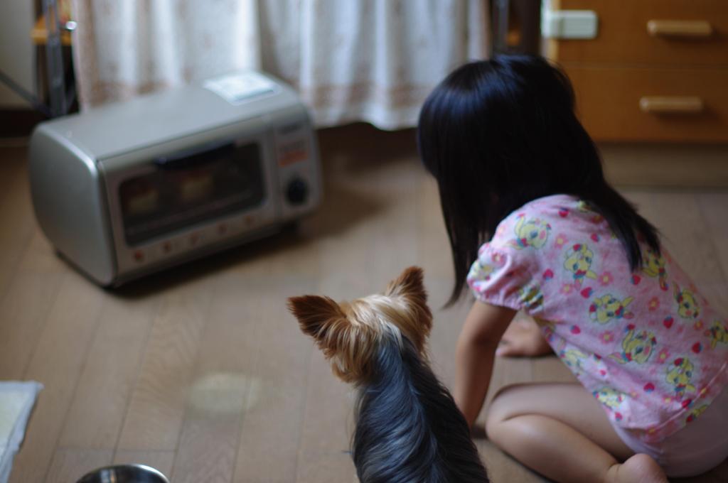 まぁだかな