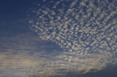 ひつじ雲