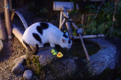 ひとやすみ
