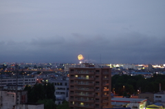 夏のはじまり