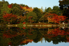 昭和記念公園　日本庭園にて