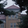 津田塾大学