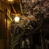 桜浪漫