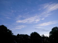 photo898650
