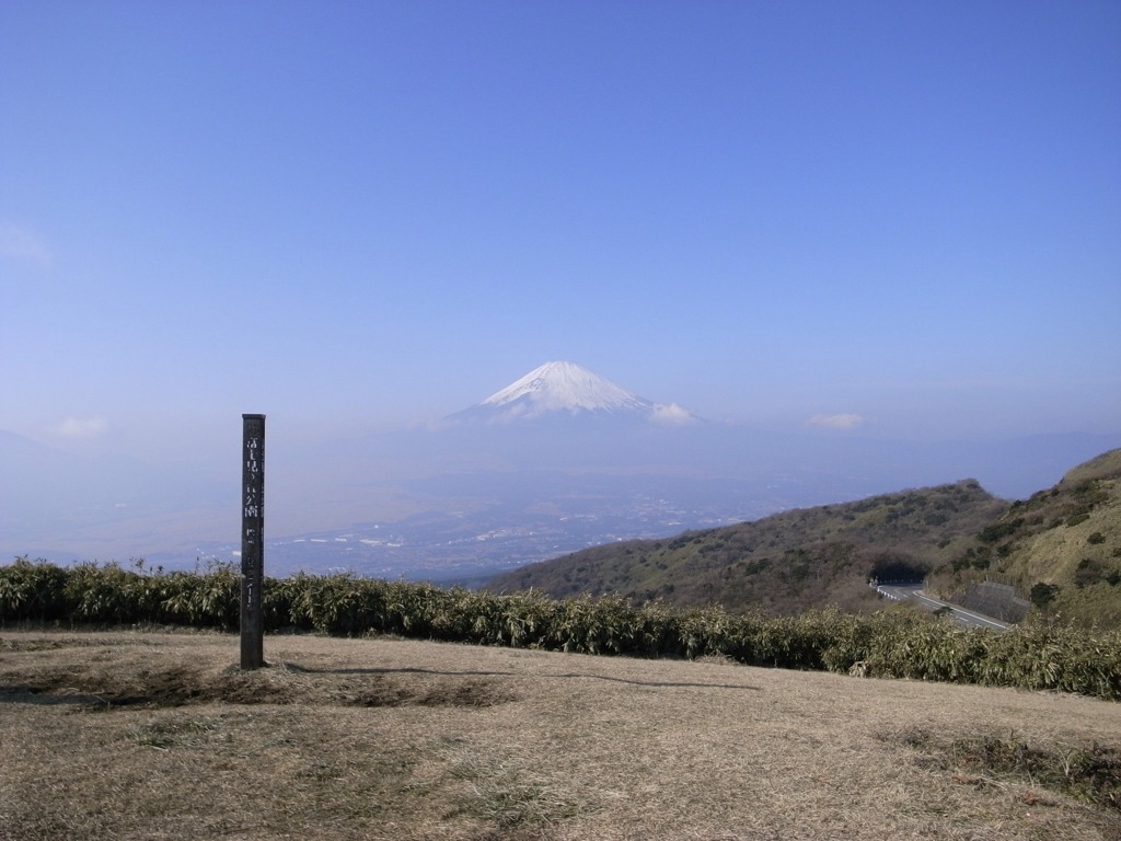 富士見ヶ丘公園