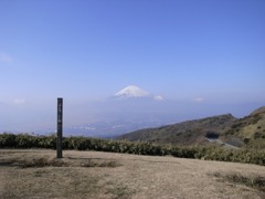 富士見ヶ丘公園