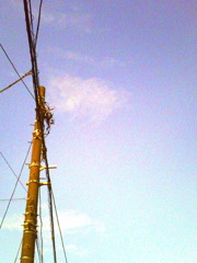 秋空