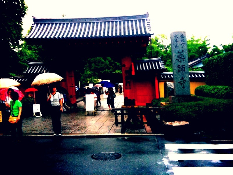 雨の薬師寺