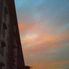 blue-orange