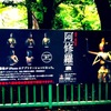 興福寺の八部衆、厳かでした