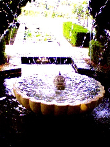 水飛沫が輝く