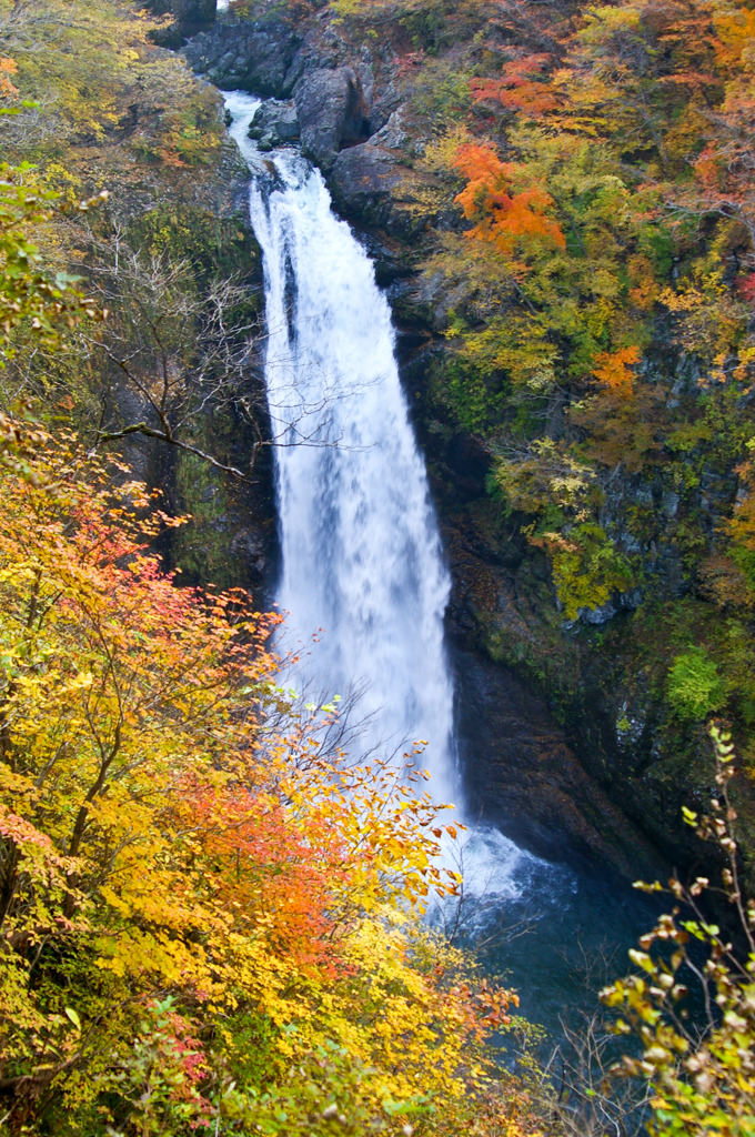 紅葉に染まる秋保大滝