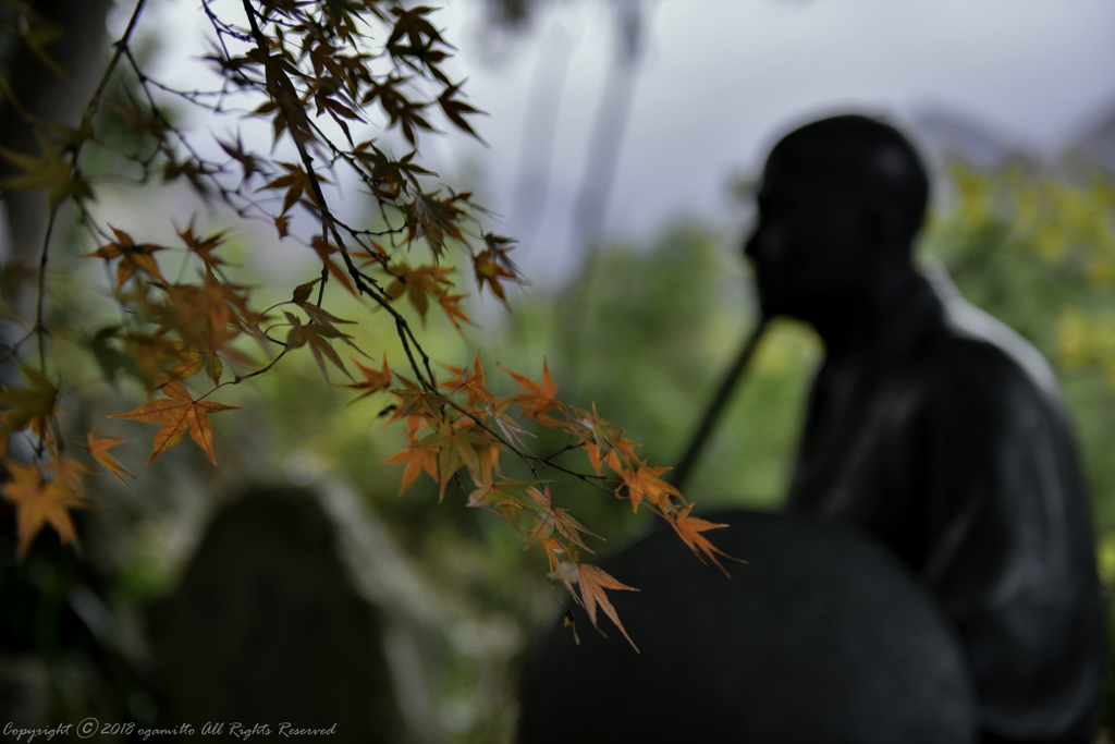 光陰矢の如し いつの世も変わらぬ紅葉に古を思ふ
