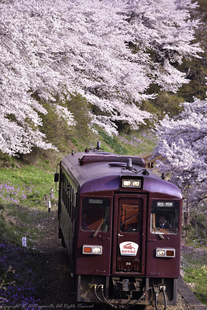 一番列車