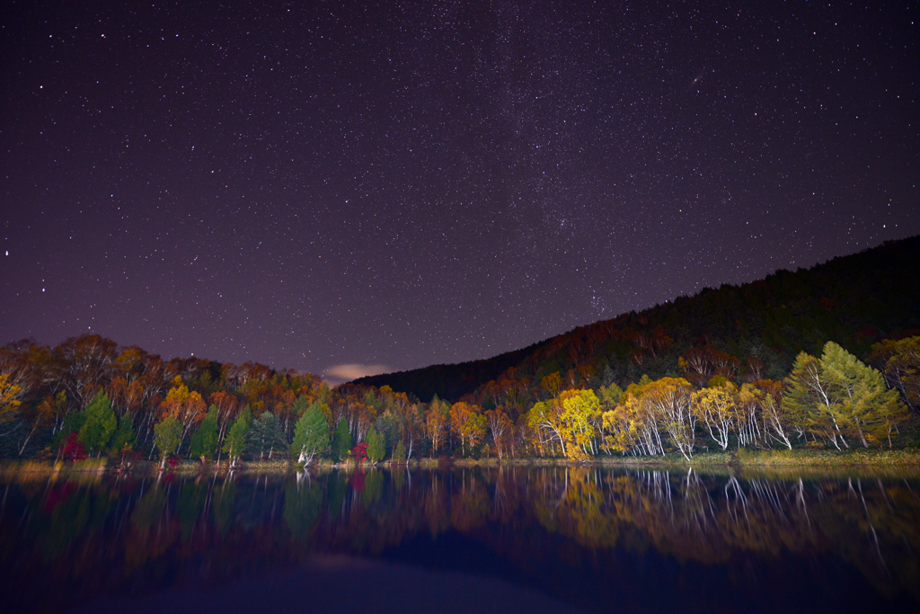 Under a starry sky