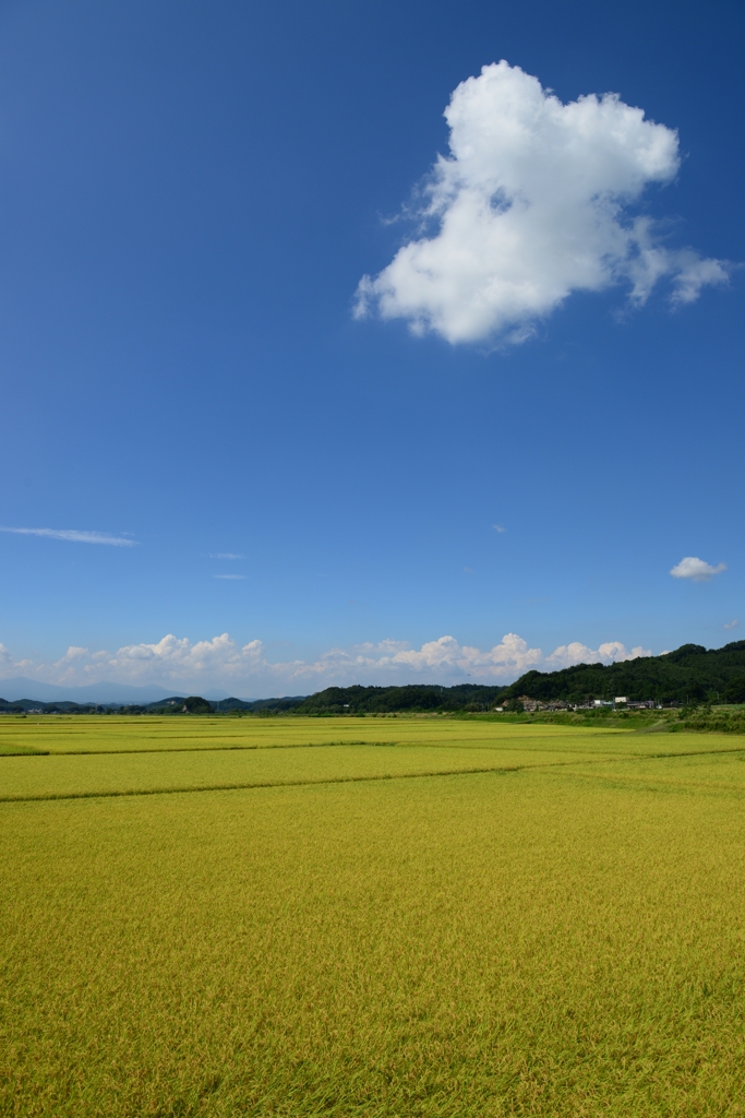 豊かな大地