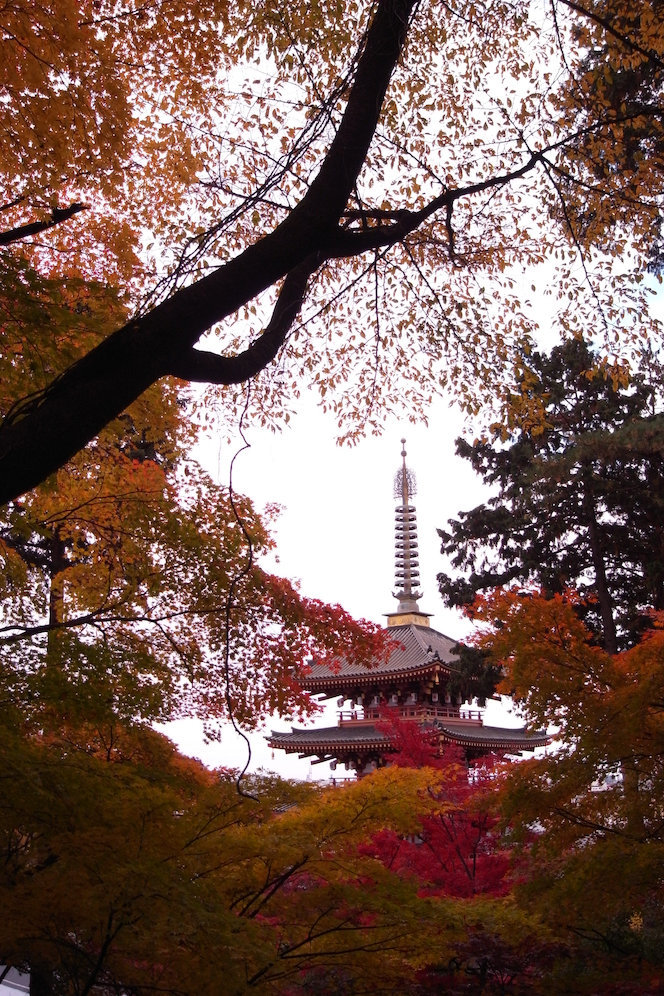 そうだ、高幡不動へ行こう