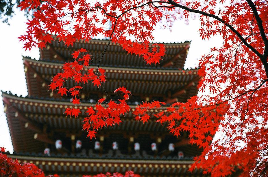 朱