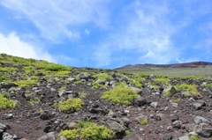 富士登山 六合目辺りから頂上を見渡す