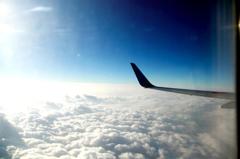 紺碧の青を探して