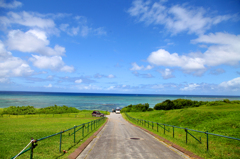 夏到来