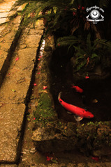 昭和レタッチ1.3