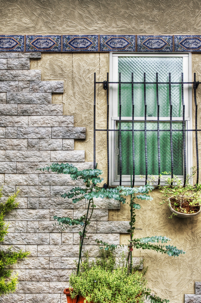 Window