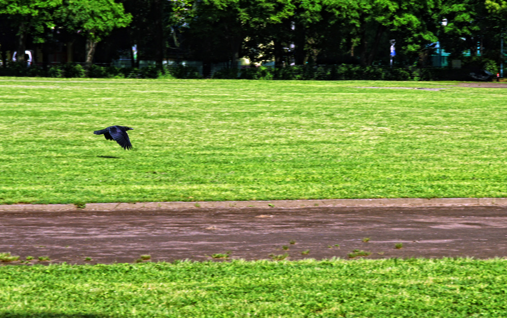 Glide〜raven〜