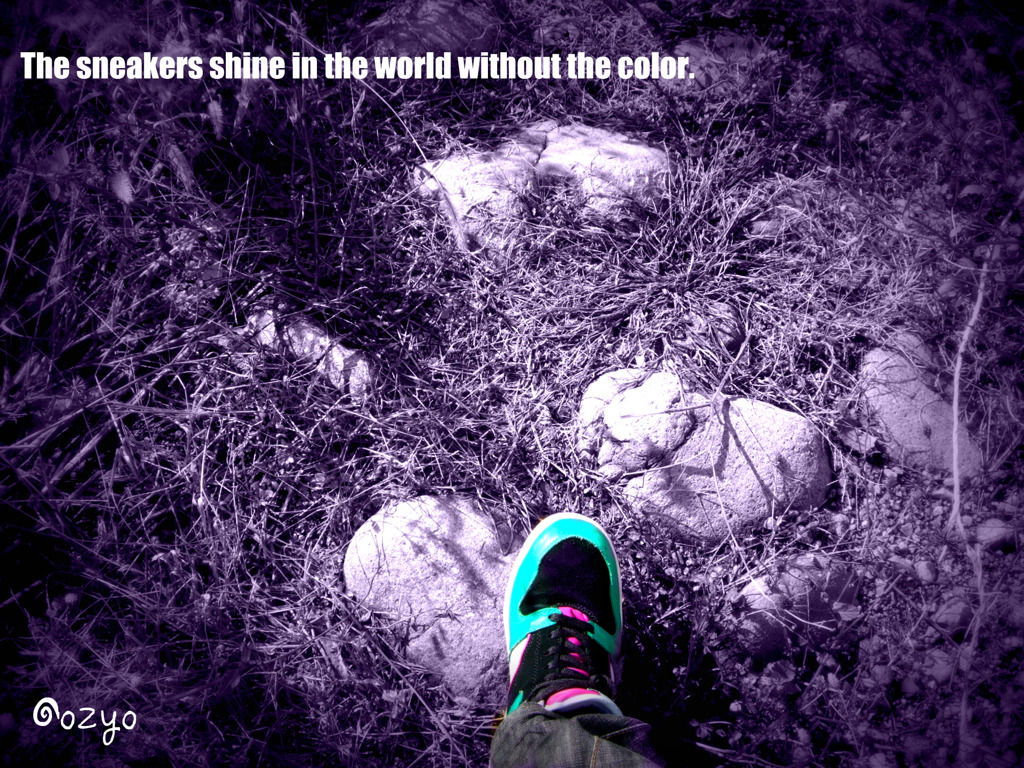 The sneakers shine in the world without 