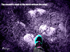 The sneakers shine in the world without 