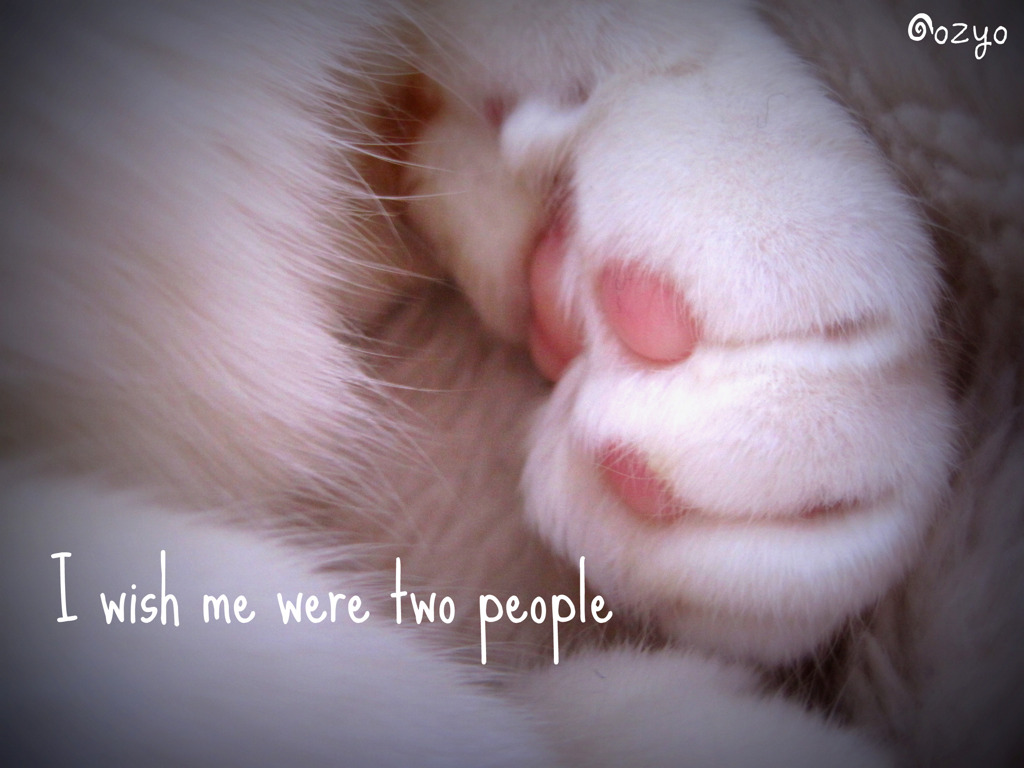 I wish me were two people