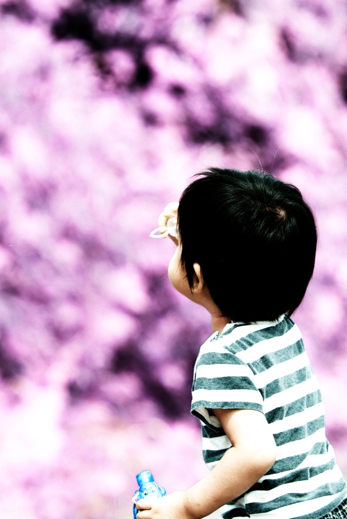 wataru2