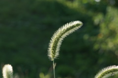 DSC01721