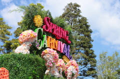 Spring Carnival