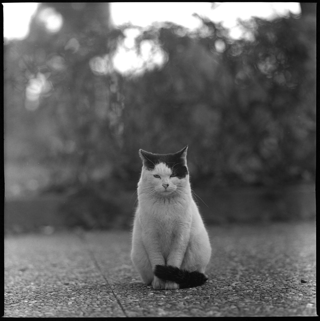 ASYMMETRY