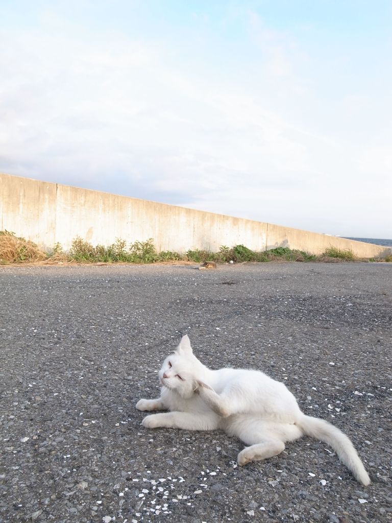 脳みそ痒い