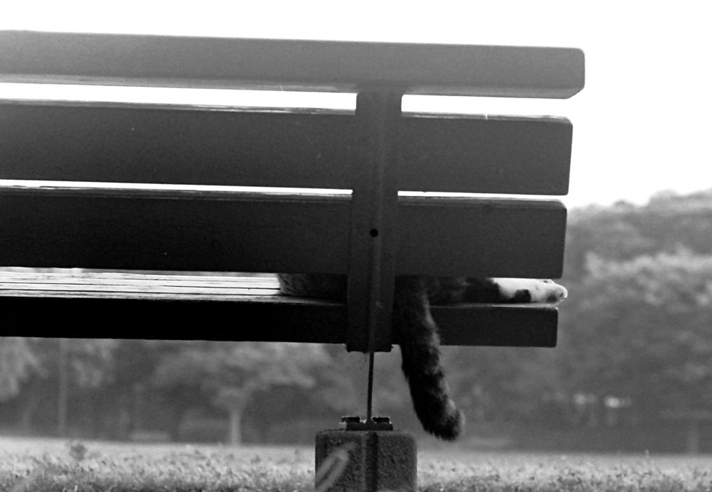 Bench